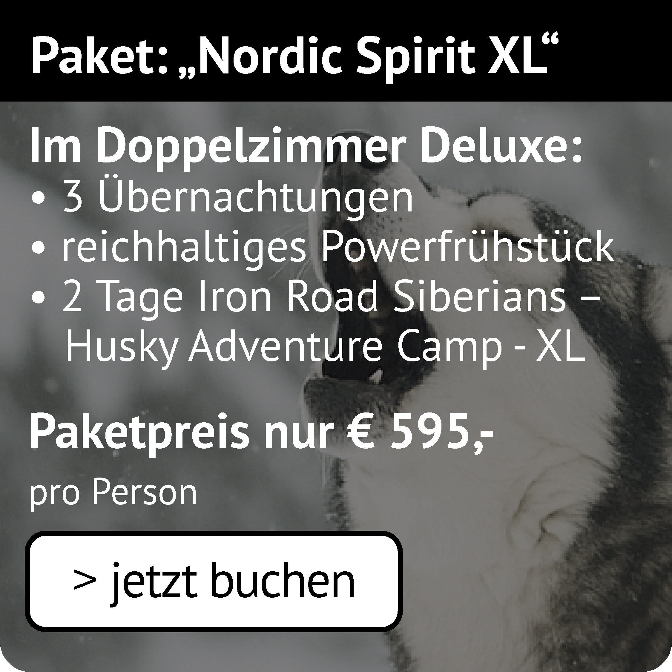 Nordic Spirit XL