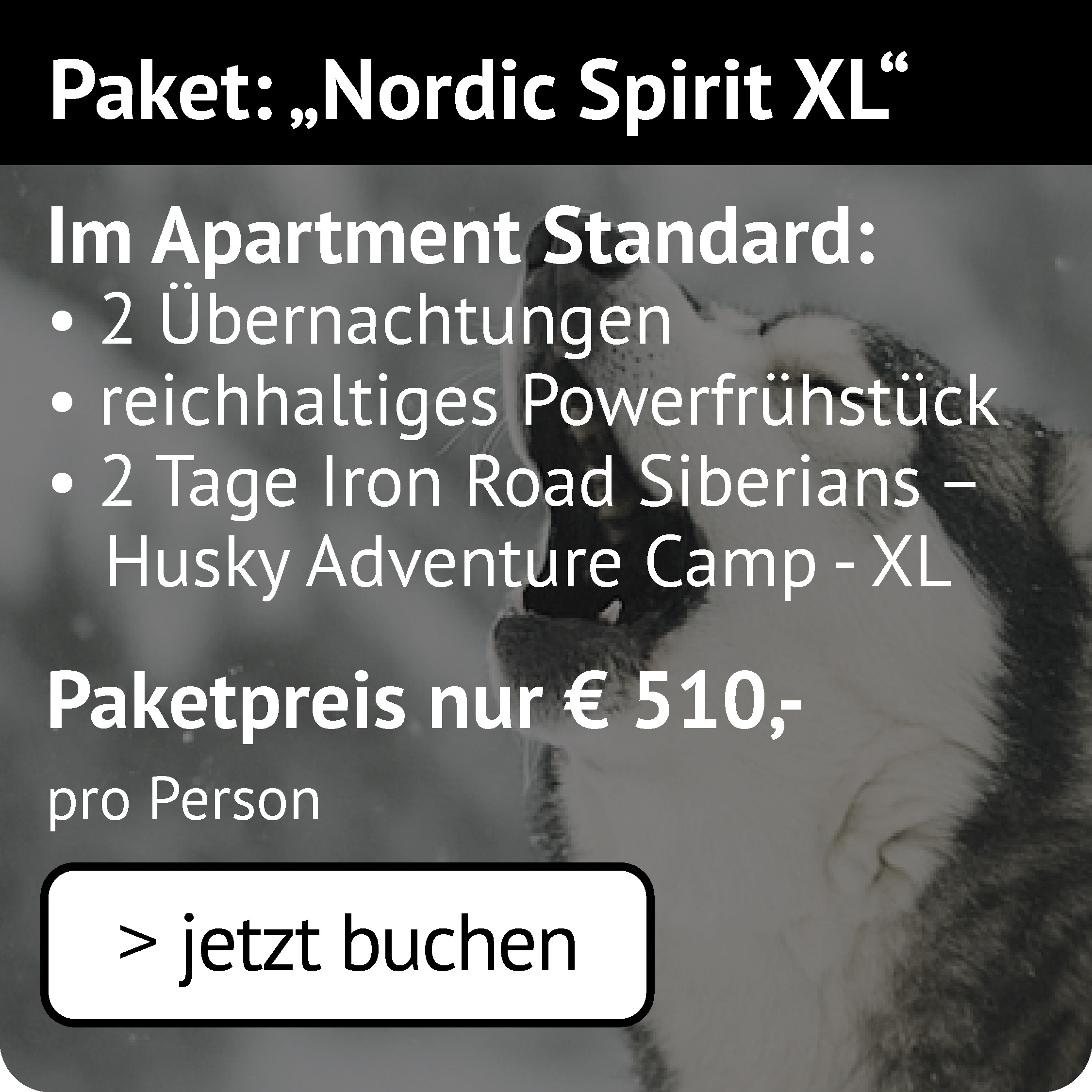 Nordic Spirit XL