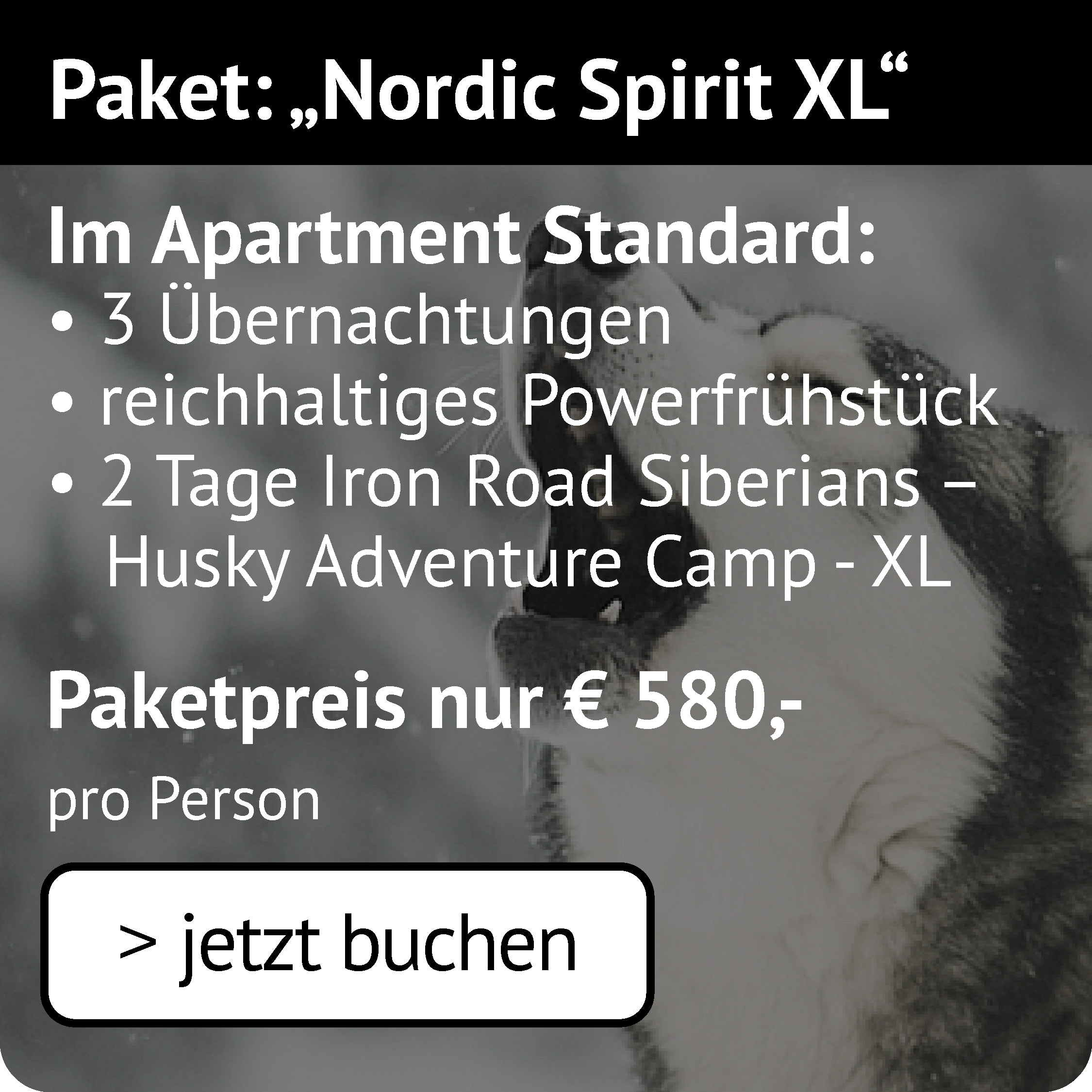 Nordic Spirit XL